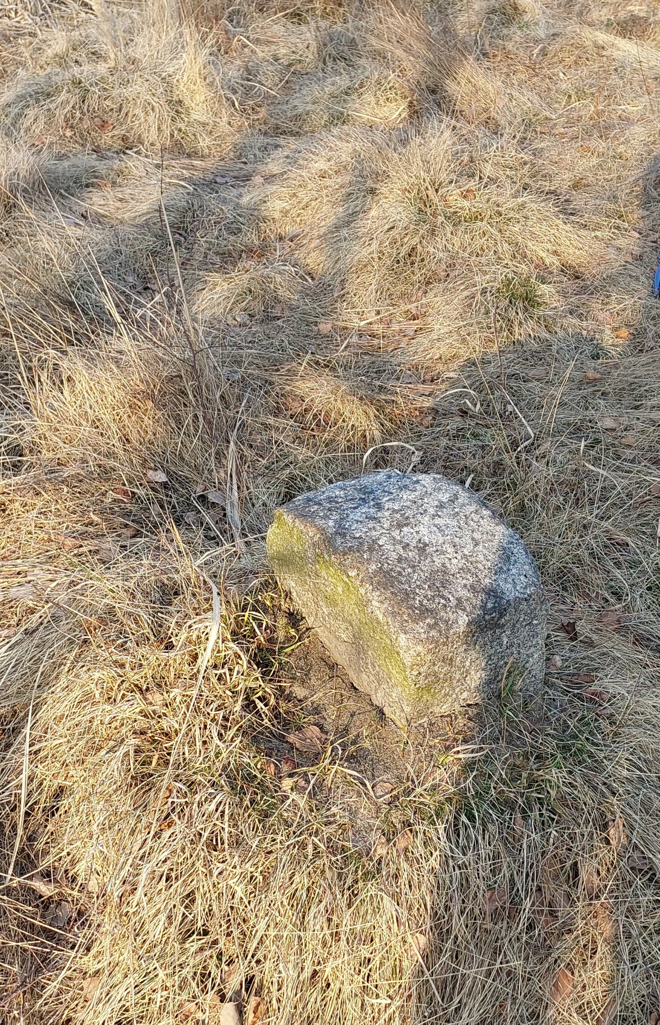 277733849_2362424047253286_5879662901566191664_n