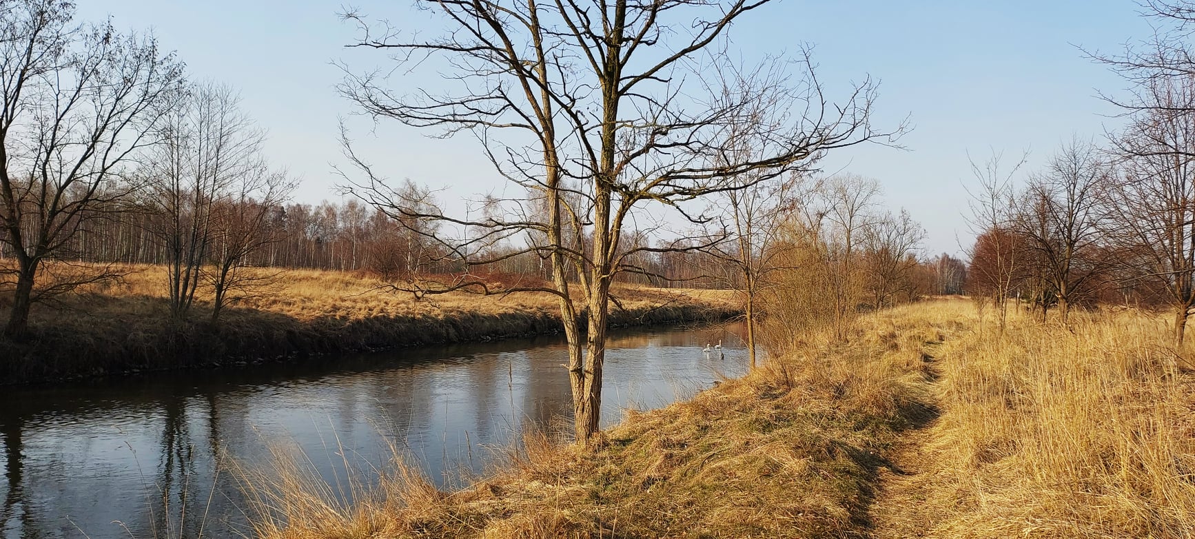 277747787_2362423367253354_4565614703429537328_n