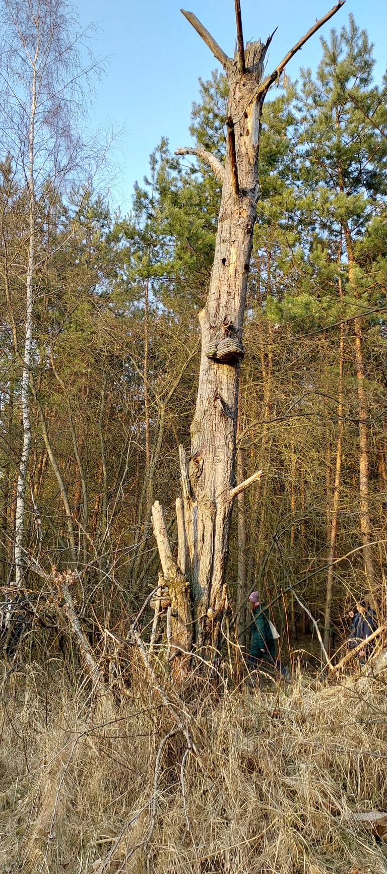 277758665_2362423610586663_6016963938225550978_n