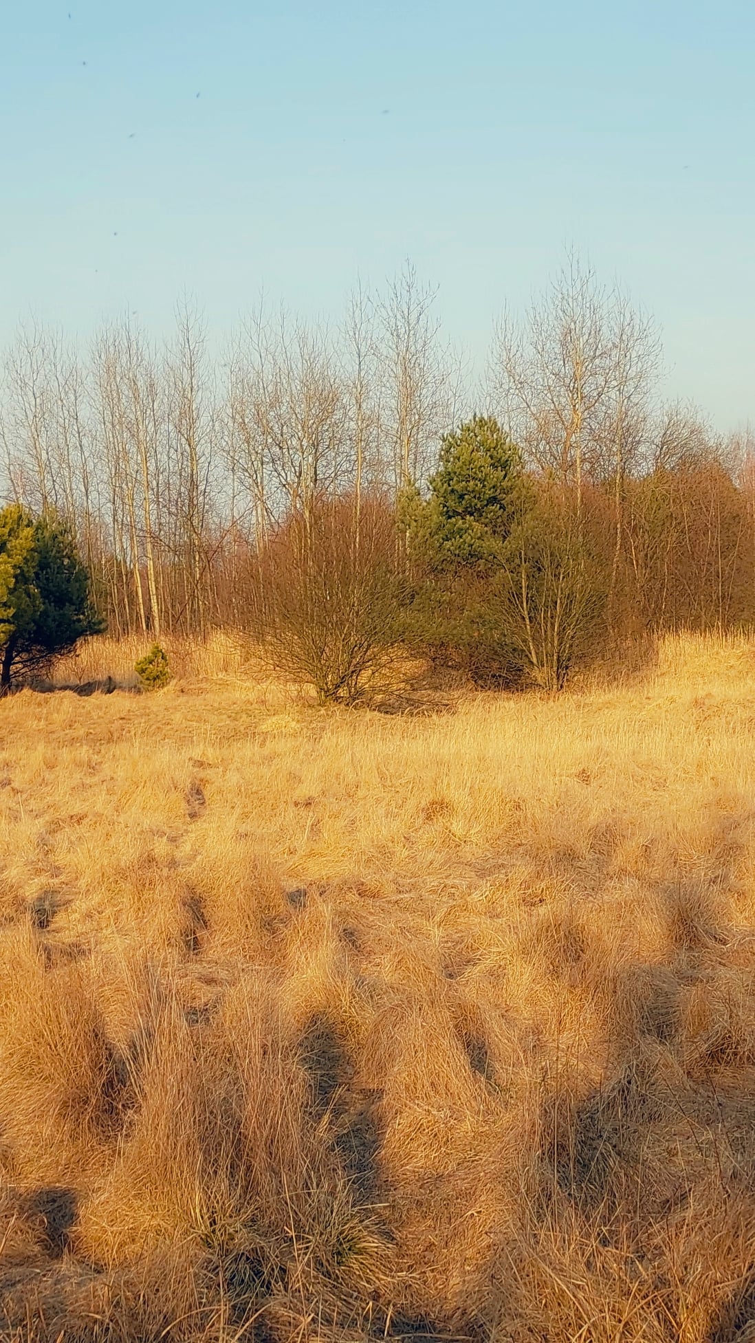 277766749_2362423747253316_7176113650577077741_n