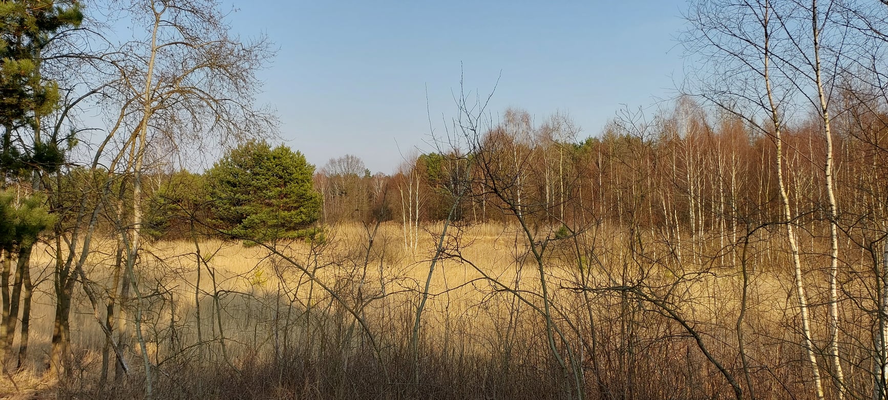 277784761_2362423430586681_5048108232499130596_n