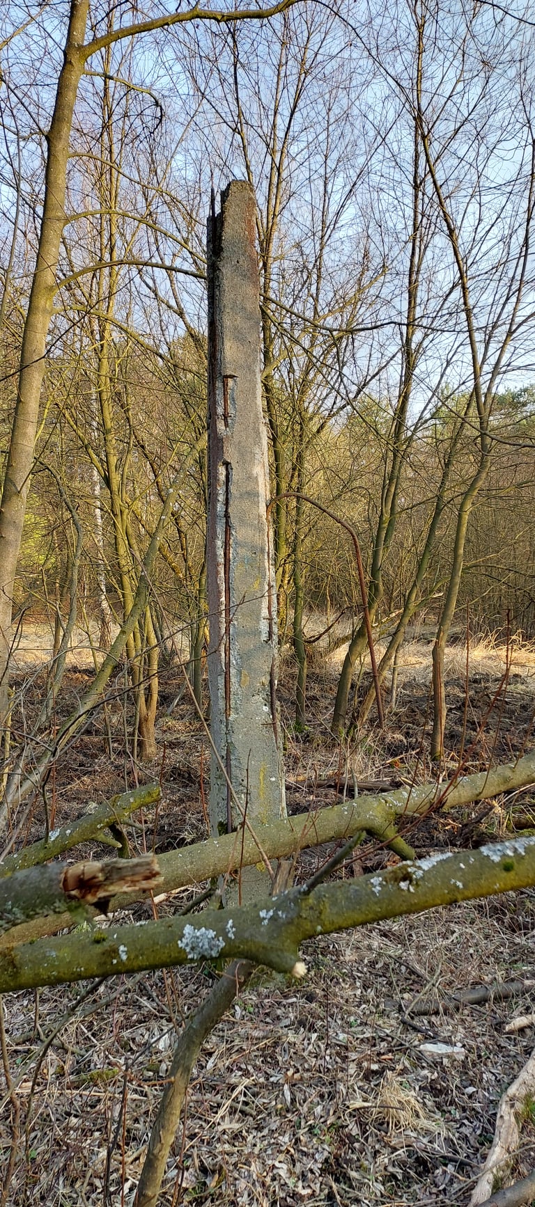 277792359_2362423473920010_6080140601973419804_n