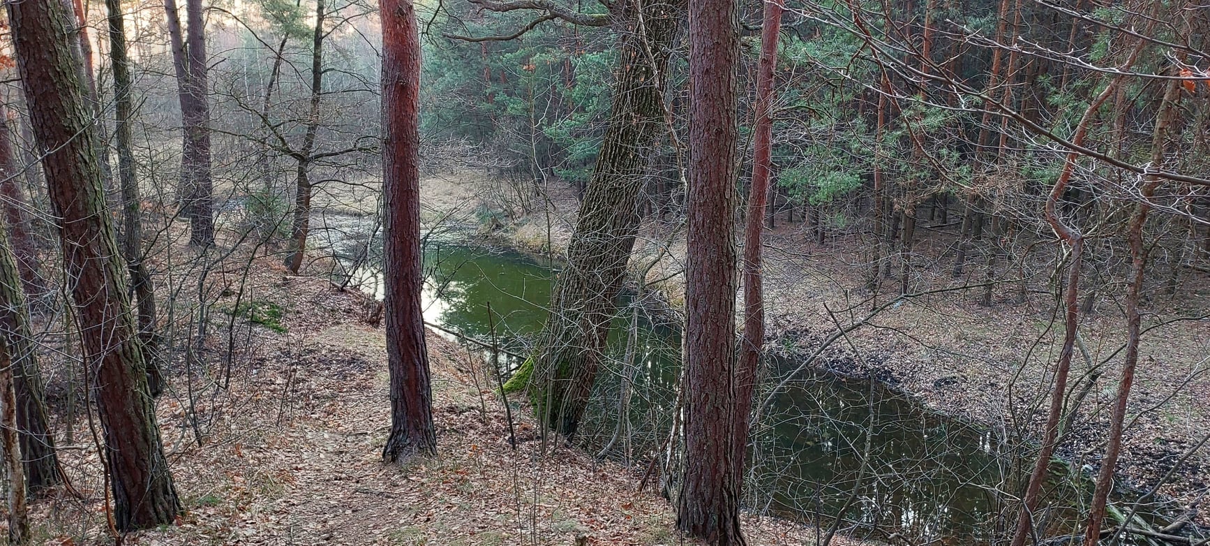 278086805_2362423690586655_5166019148117592831_n