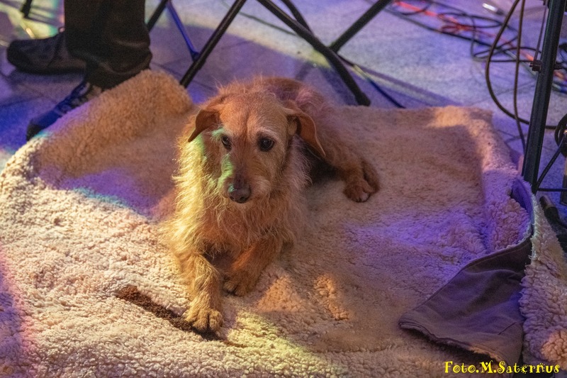 480249059_10231299380482807_6521951858241888639_n