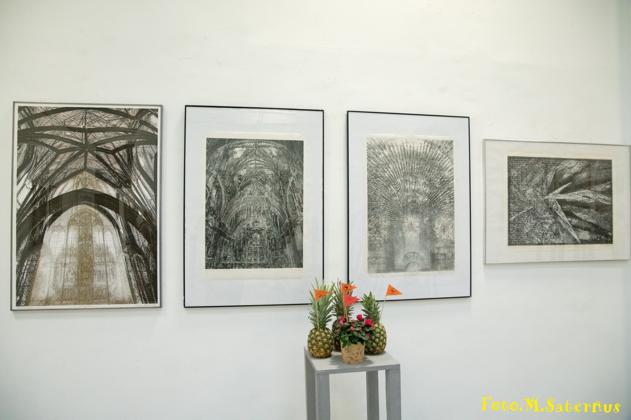 487280380_10231764819278486_2751282473576696473_n