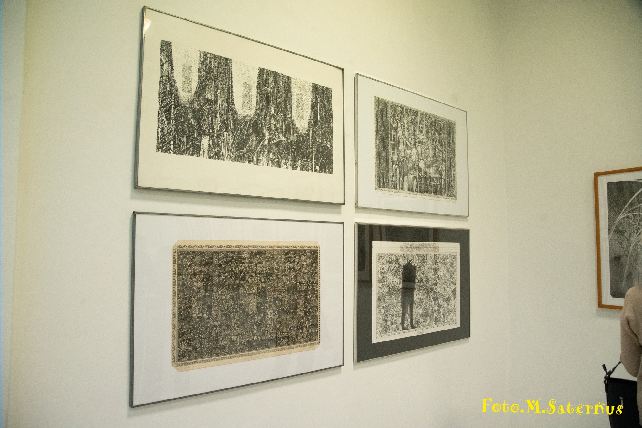 487293335_10231764819718497_5710880497430633794_n