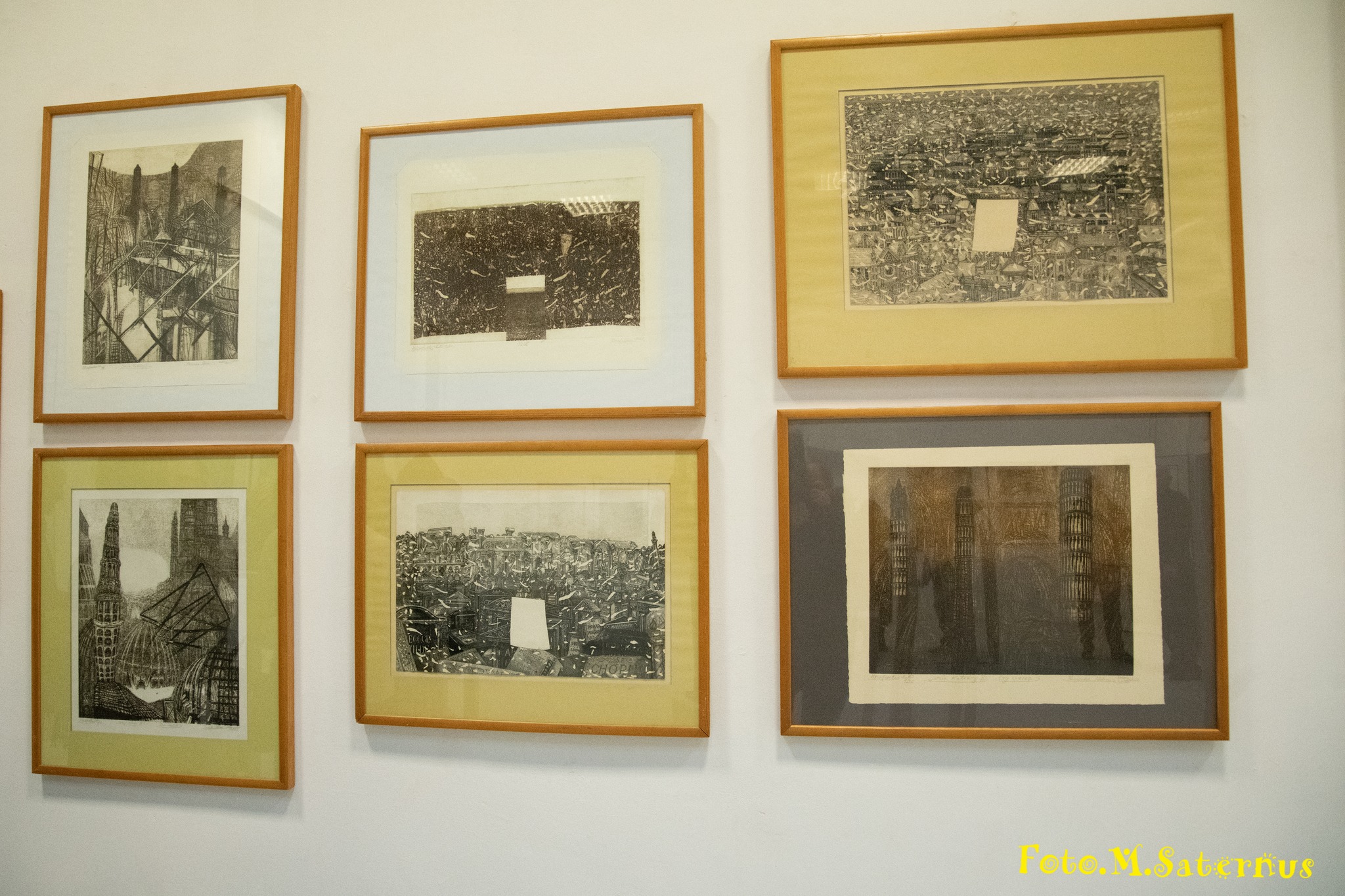 487443164_10231764815118382_2346812708126069753_n