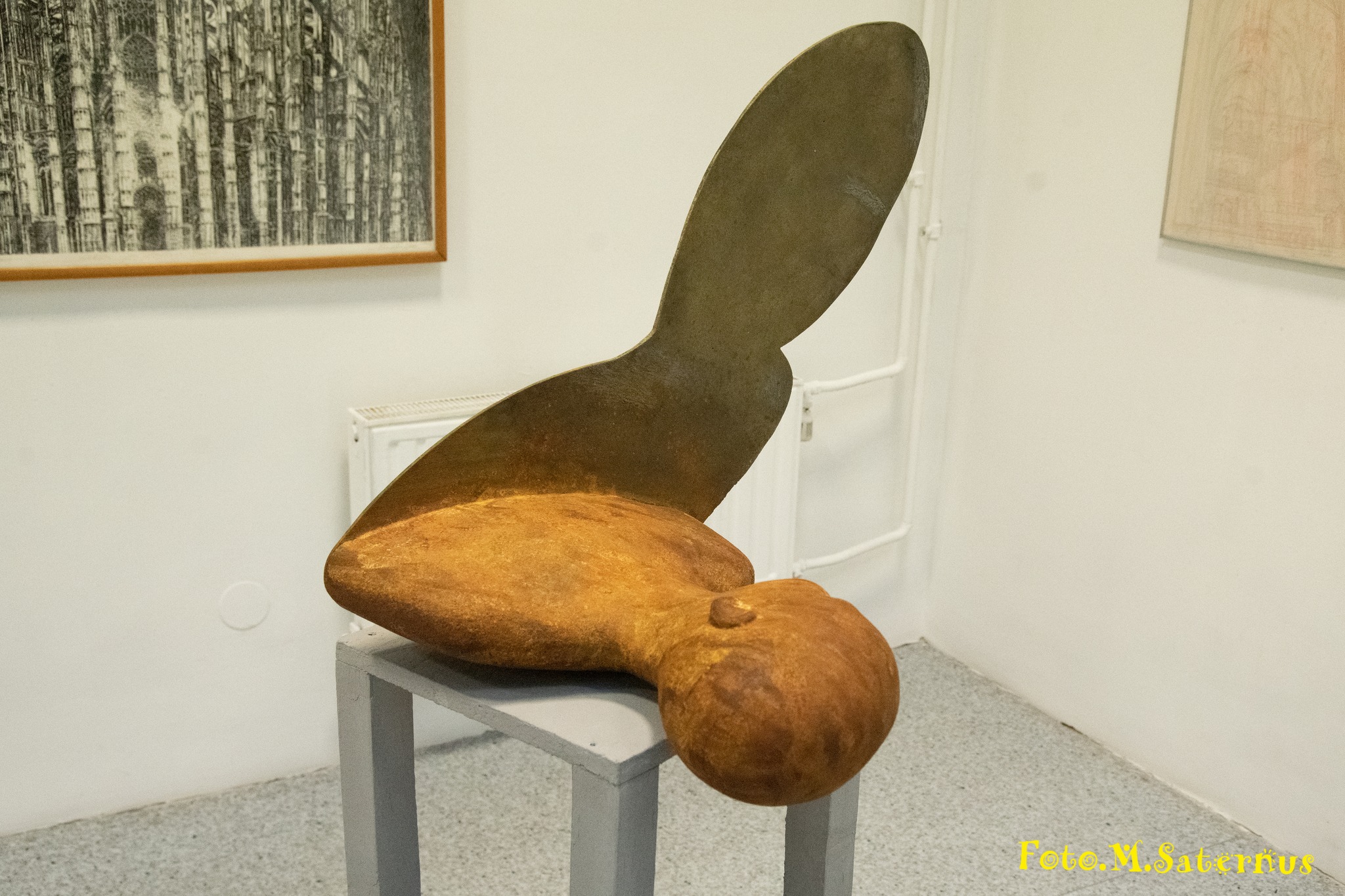 487543961_10231764814758373_6556020453832274088_n