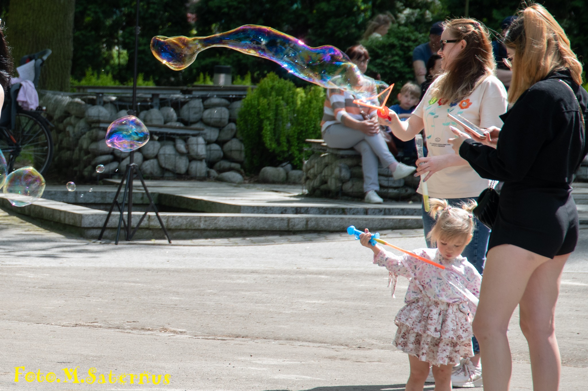 494336021_10232196103380319_8160870763508859360_n