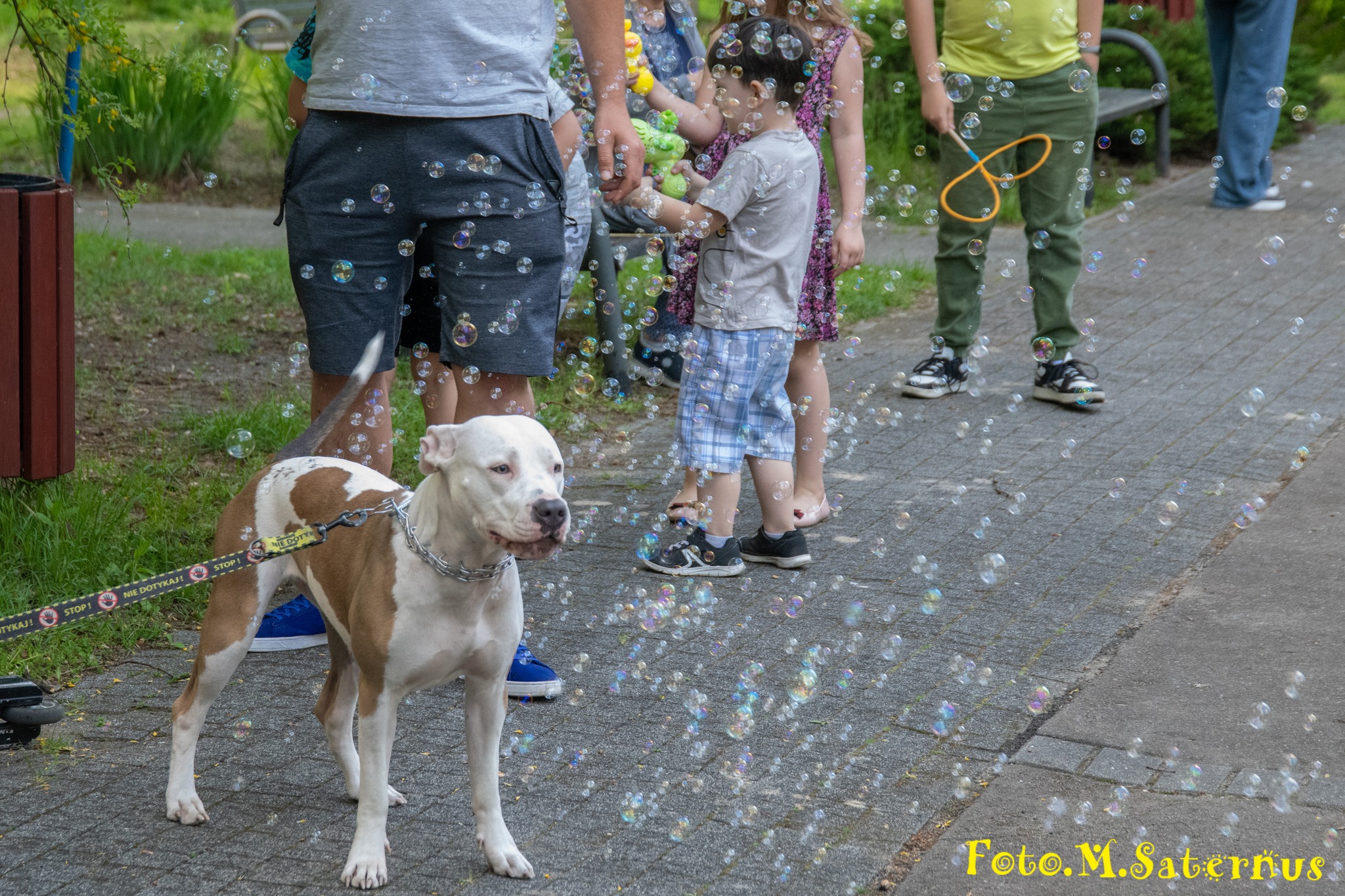 494733188_10232196114460596_1320478462005106621_n