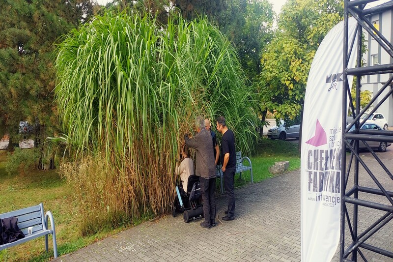 548088094_1210939024402714_5037974715670161812_n