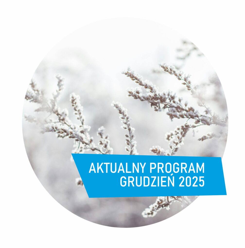 Kolko grudzien 2025