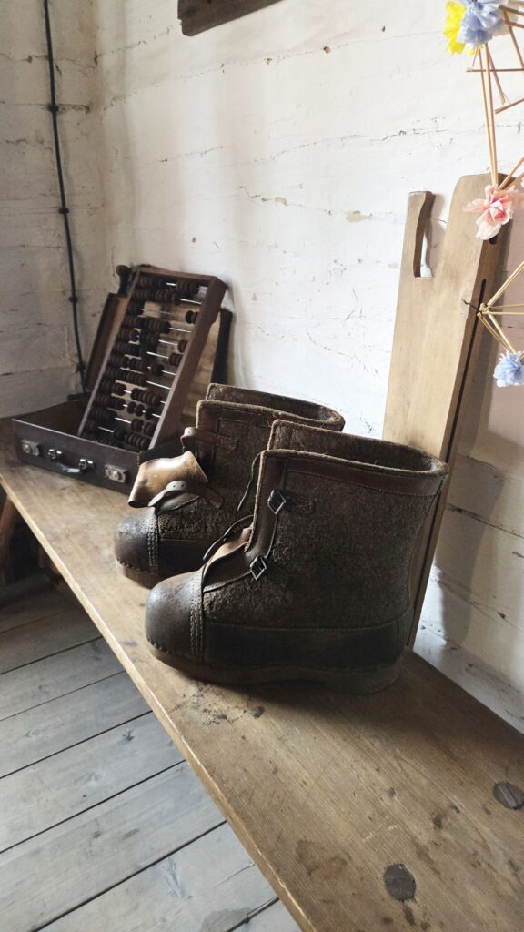 Piknik w kregu asia0107