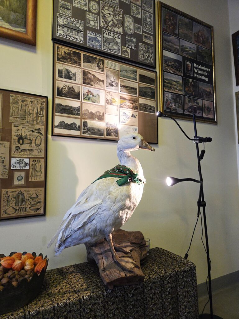 Piknik w kregu asia0120