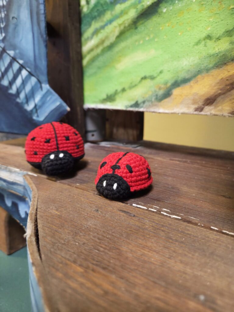 Piknik w kregu asia0127