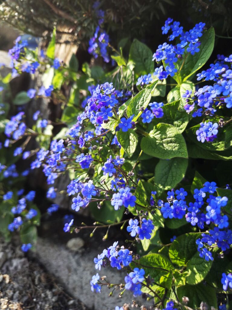 Piknik w kregu asia0131