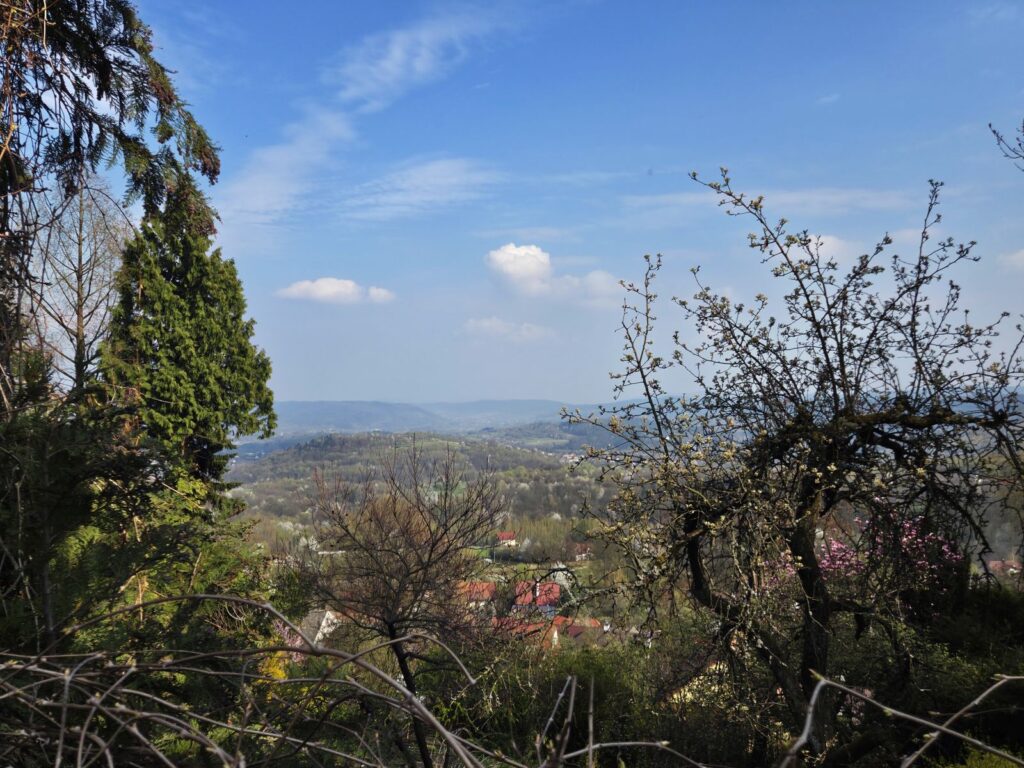 Piknik w kregu asia0132