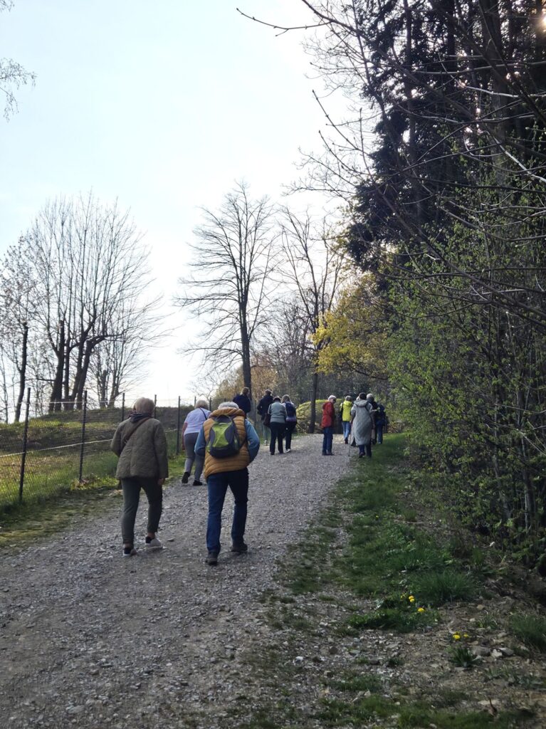 Piknik w kregu asia0138