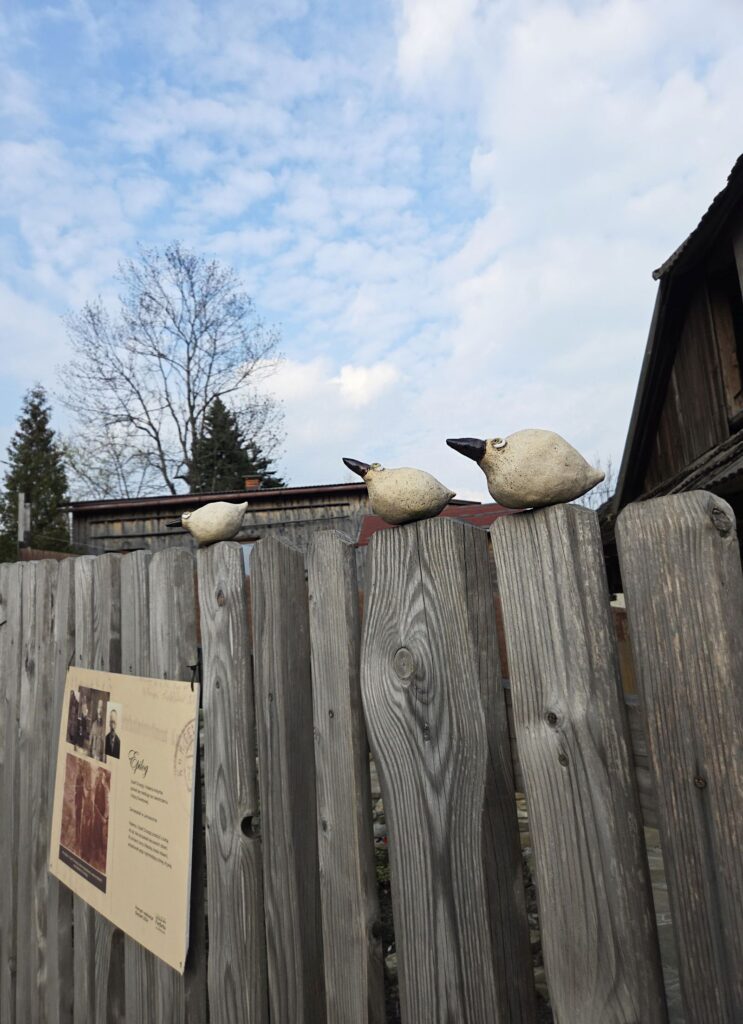 Piknik w kregu asia0149