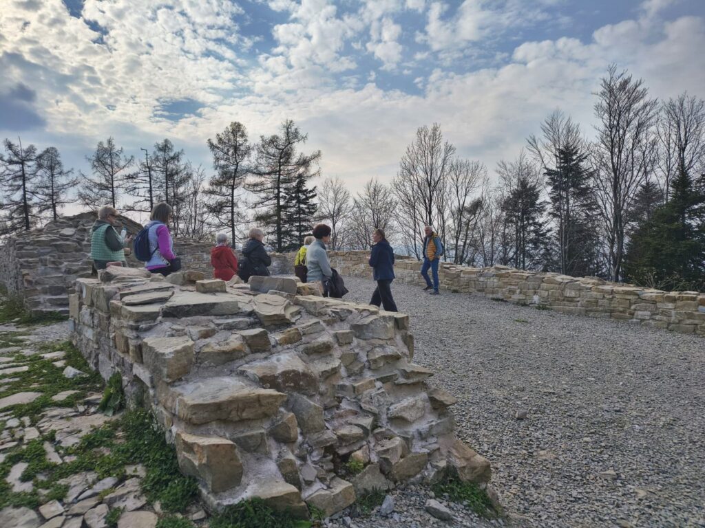 Piknik w kregu asia0157