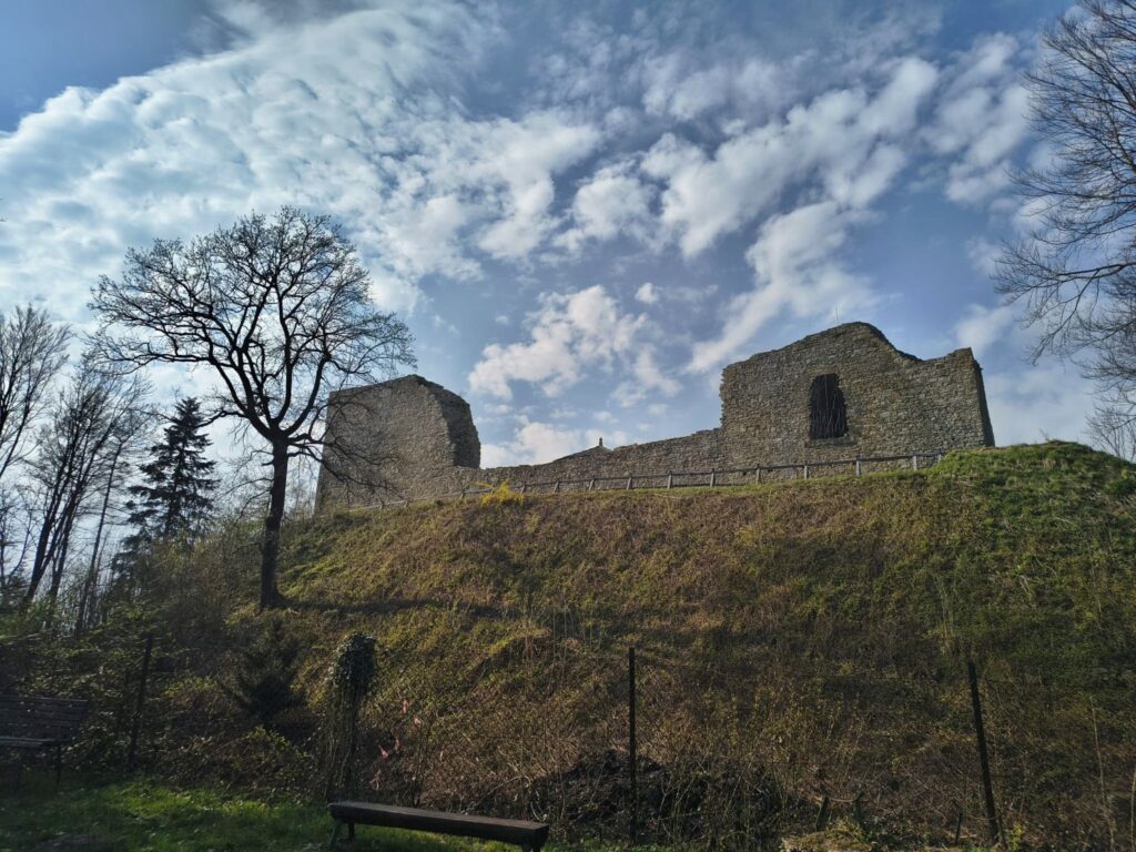 Piknik w kregu asia0159